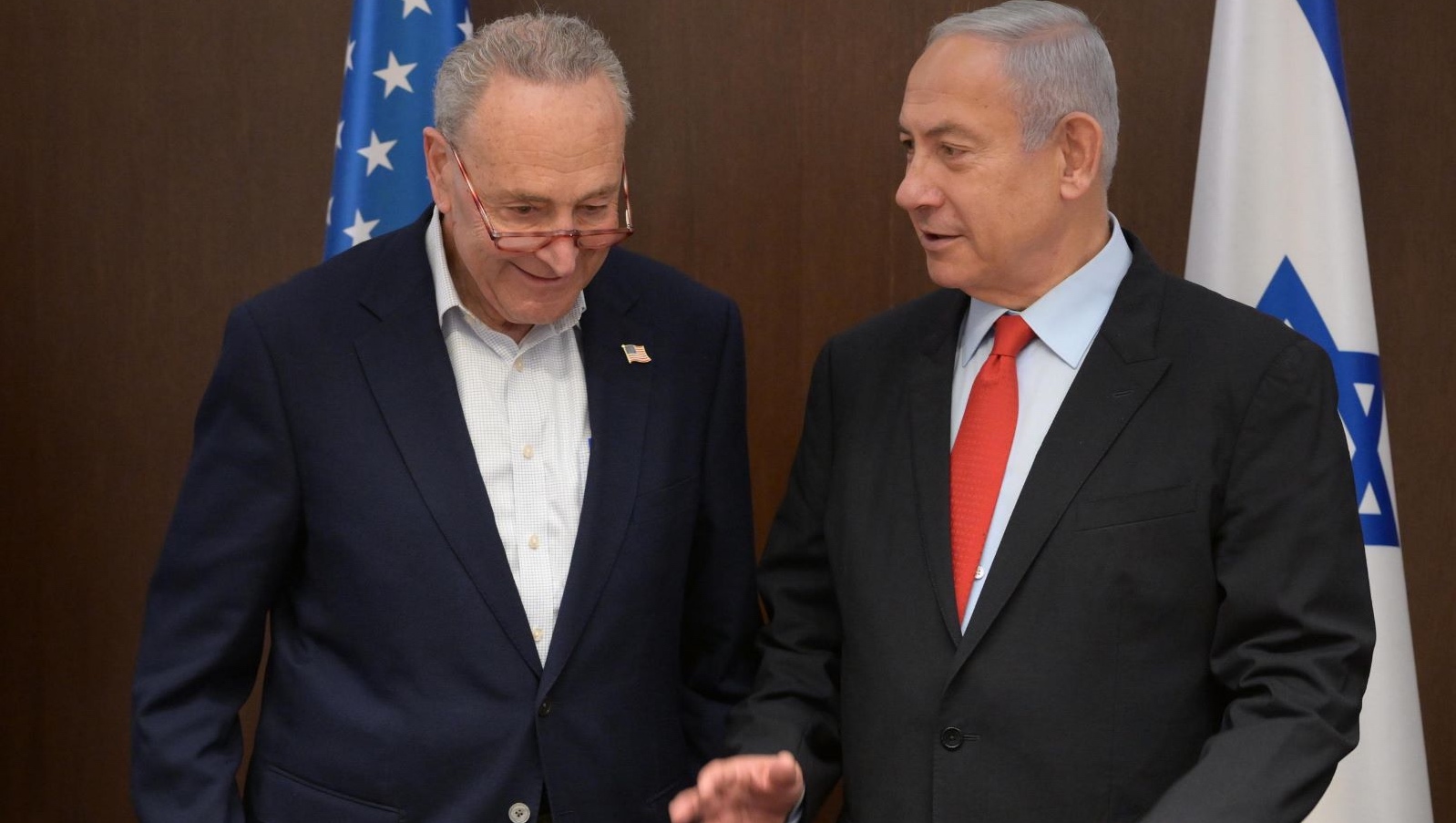 Chuck Schumer called for elections in Israel. What did he hope to achieve?