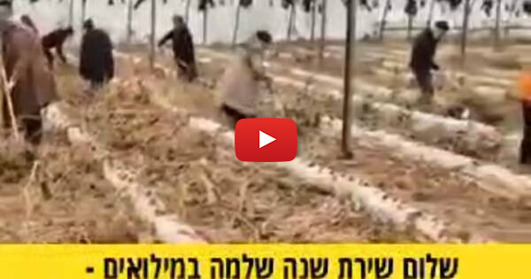 WATCH: Volunteers Save IDF Reservist’s Greenhouse