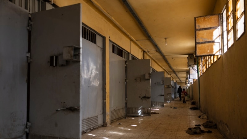 Torture and repression in Iraqi and Syrian prisons