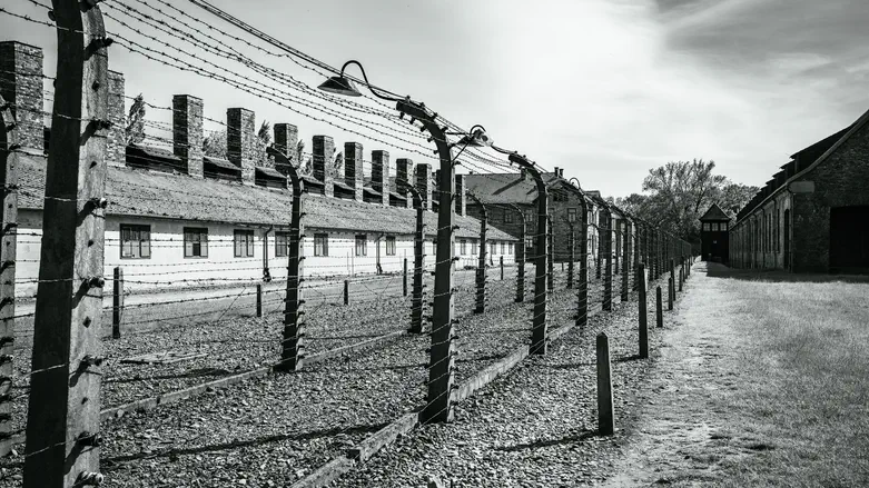 Survey: 1 in 5 adults in France unsure they have heard of the Holocaust