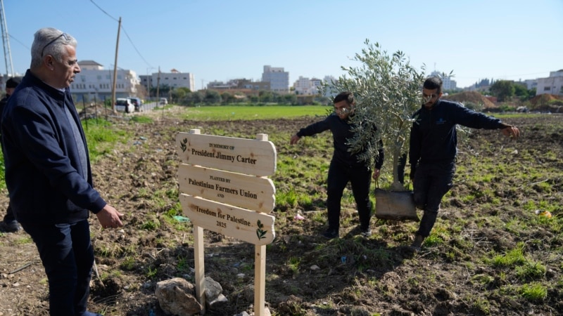 Palestinians dedicate new West Bank olive grove to Jimmy Carter