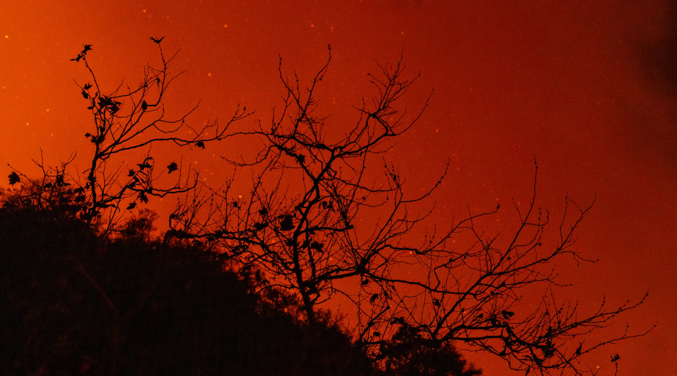 Celebrating Shabbat in Los Angeles: Amid the fires, a still, small voice