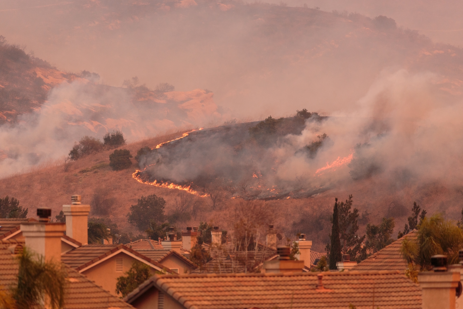 Israeli NGO sends team to help fight LA wildfires