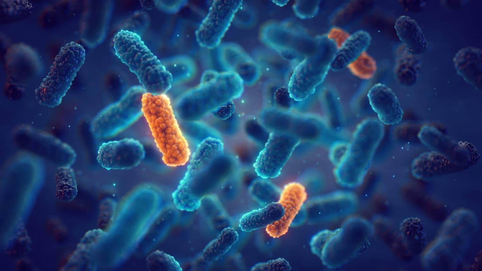 New breakthrough could solve antibiotic resistance crisis