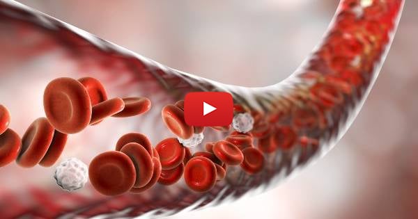 WATCH: Israeli Startup Pioneers Lab-Made Blood to Solve Global Shortages