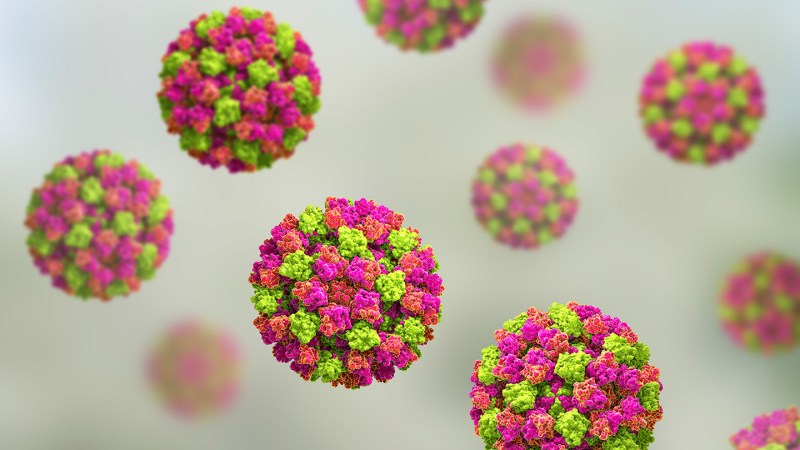 Why a norovirus vaccine isn’t available — yet