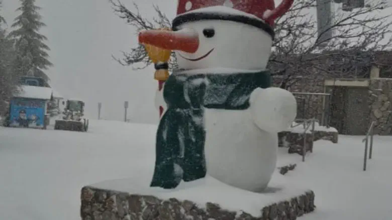 Watch: Blanket of snow covers Mount Hermon