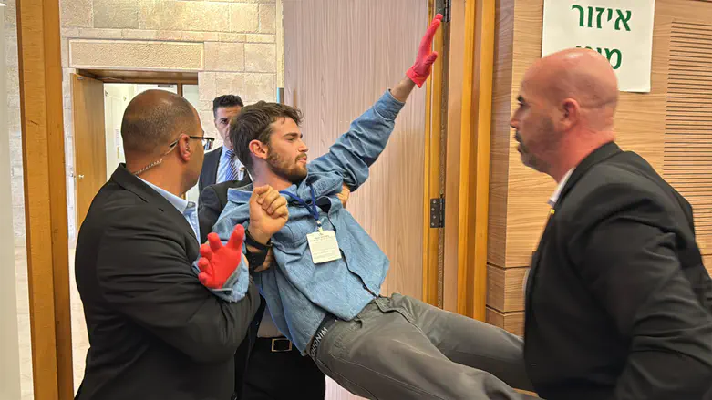 Protester with red gloves expelled from Knesset committee