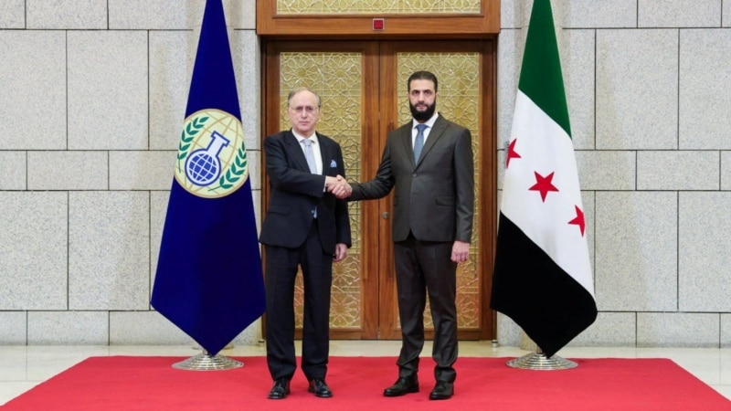 Head of UN chemical weapons watchdog meets Syrian leader