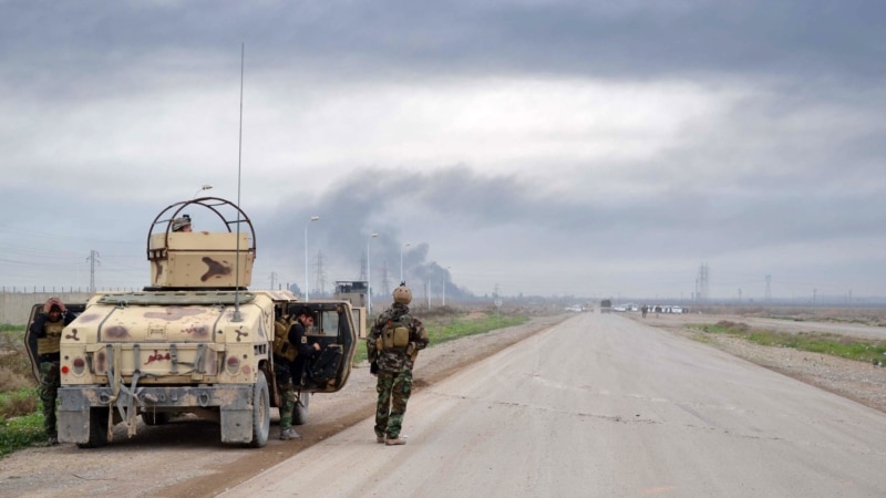 Mass grave of Kurdish fighters killed by IS found in disputed Iraqi province