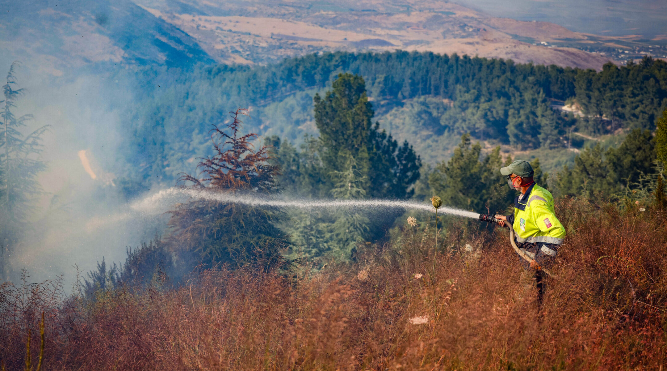 Burned trees, traumatized animals: Nature is revealing the unseen effects of Israel’s wars