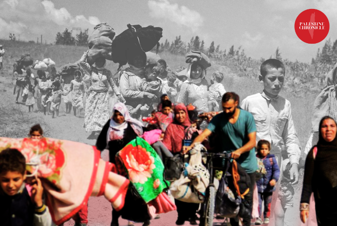 ‘Gazacide’ – The Case for a Unified, Empowered, and People-Centered Palestinian Discourse