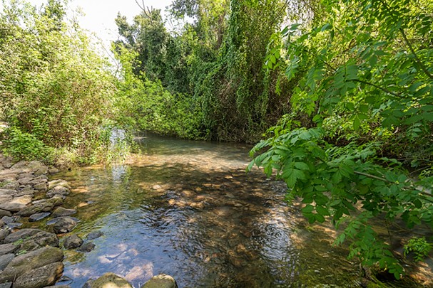 OFF THE BEATEN TRACK: Biblical City of Tel Dan (Part One)