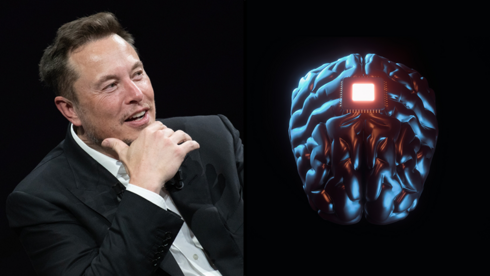 Musk fires FDA employees overseeing Neuralink