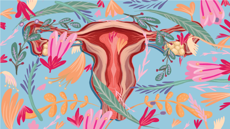 These scientists have a plan to demystify the vaginal microbiome