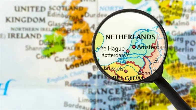 Low-cost company formation in the Netherlands: Your guide to success