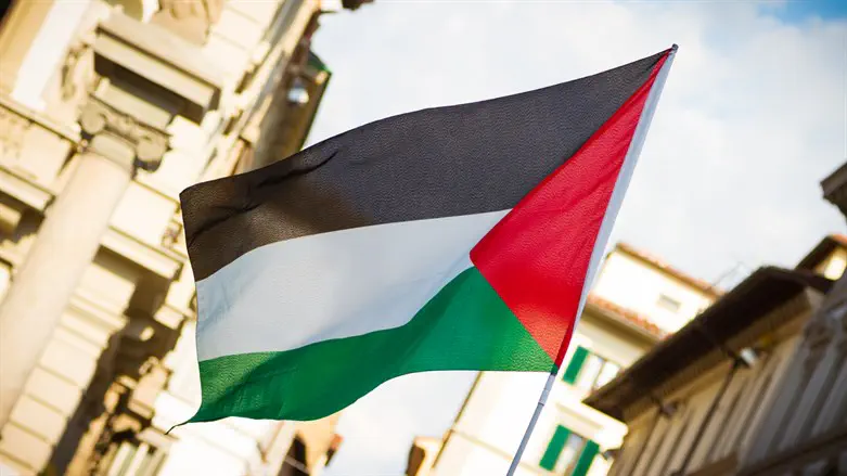 Irish protesters raise PLO flags over Dublin bridge in solidarity with Palestinians