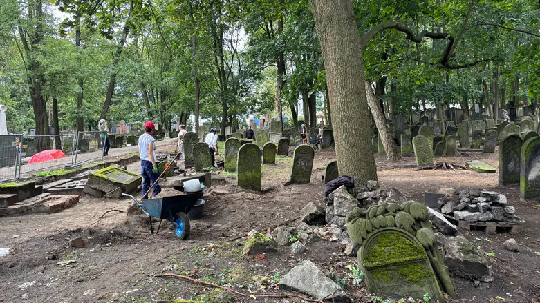 Polish archaeology students discover history at Jewish cemetery