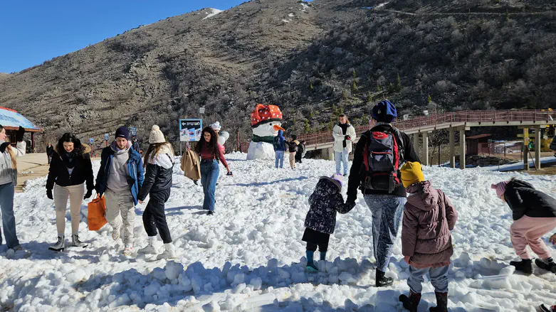 Watch: Hermon Ski Resort reopens for first time since war's outbreak