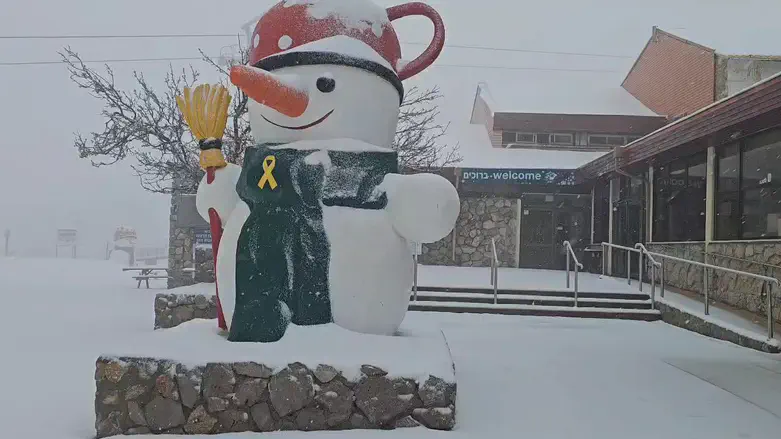 Winter's return: Mount Hermon blanketed in snow