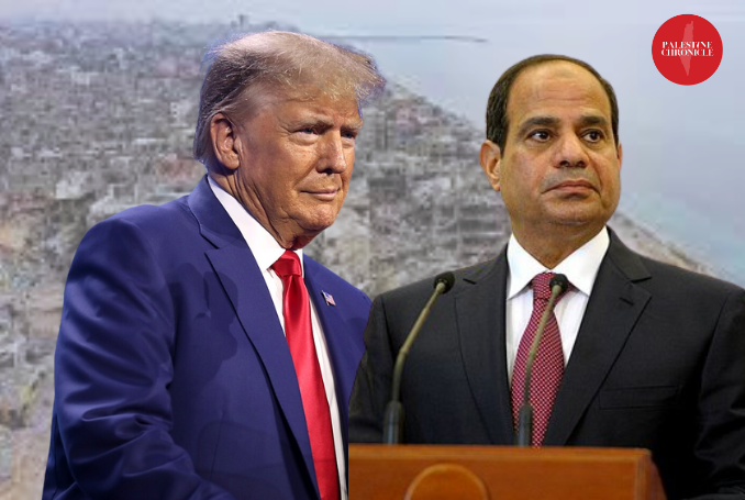 Egypt, Hamas Welcome Trump’s Gaza Remarks, Urge Just Solution