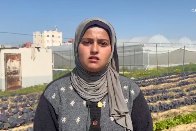 ‘Green Girls Group’: Women Farmers of Gaza on the Frontlines