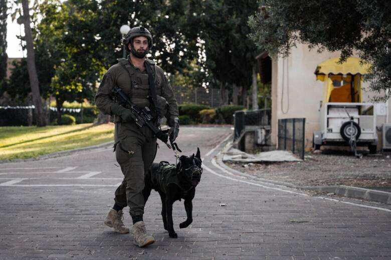 Monitoring Dogs’ Scent Responses Promises Faster, Smarter Detection in Rescue and Security Israeli Research Finds