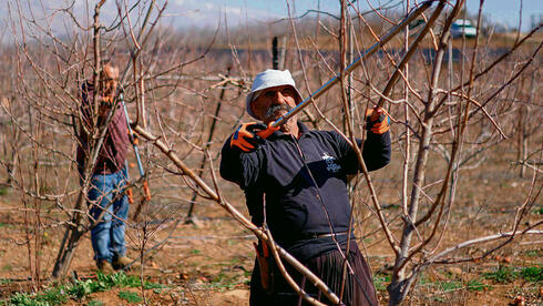 Israel to begin employing Syrian Druze workers in Golan Heights pilot project