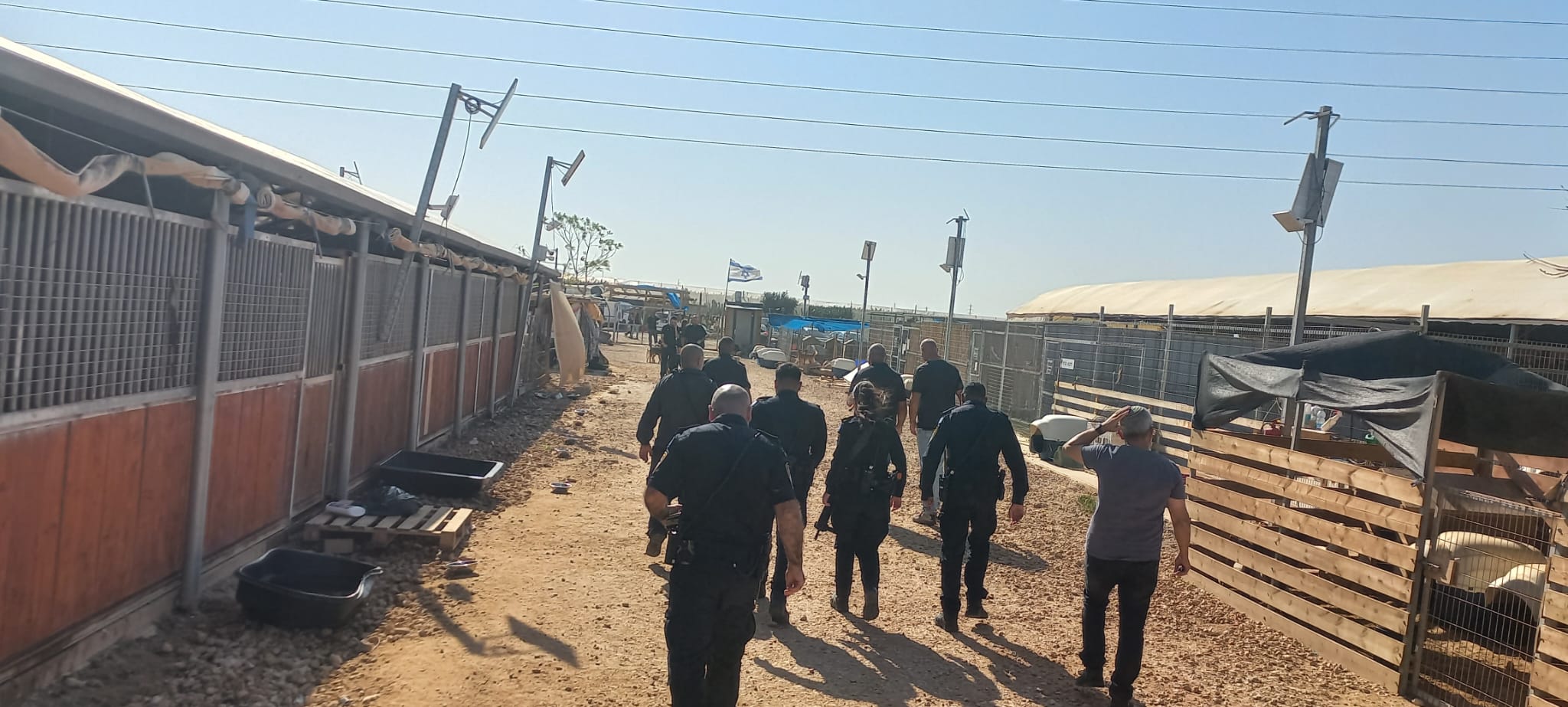 משטרת ישראל פשטה על חווה בצפון: זה הדבר המזעזע שנמצא שם