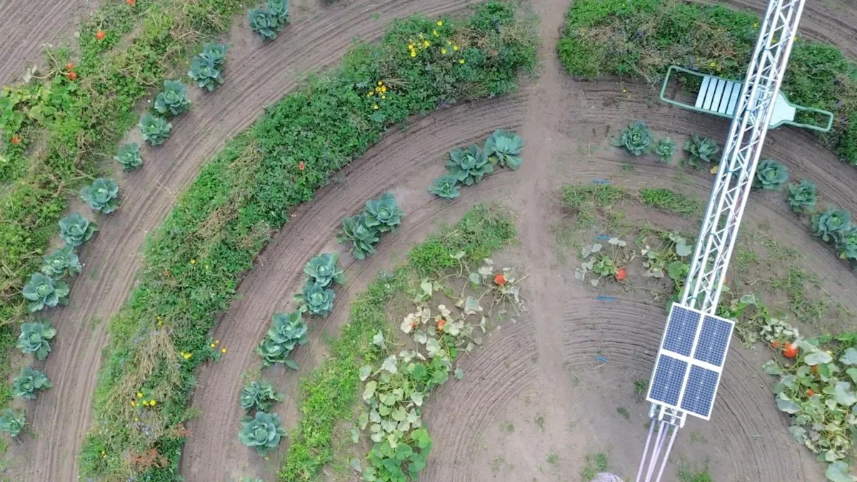 ‘A new landscape can emerge’ ‘A new landscape can emerge’