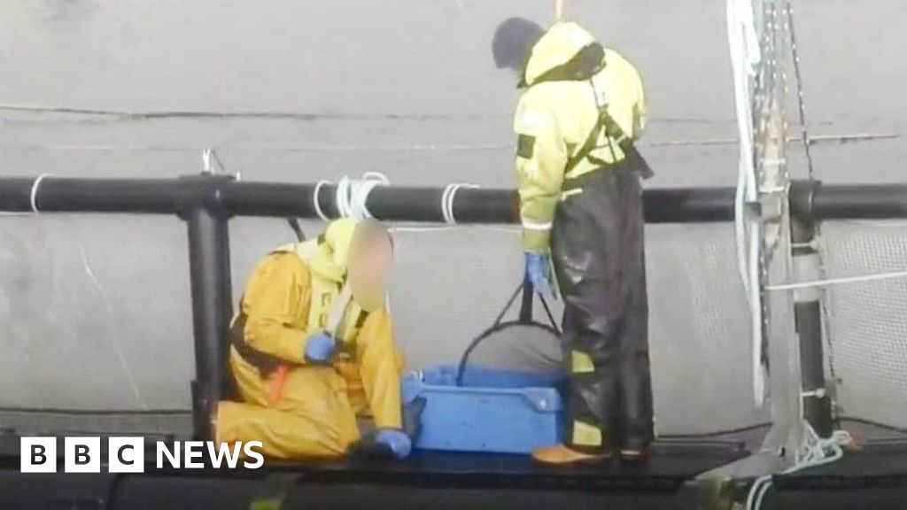 Salmon farm at centre of cruelty allegations loses Royal Warrant