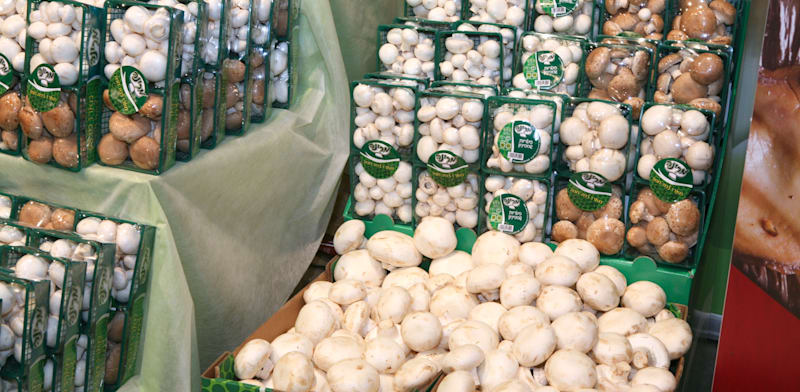 Marina Mushrooms plans IPO at NIS 1b valuation