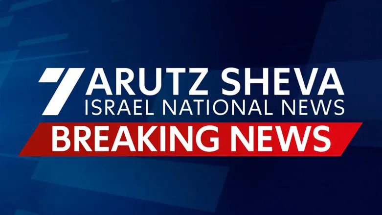 IDF, Israel Police thwart Jordan Valley smuggling attempt, seize guns and arrest suspect