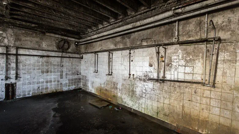 Nick Fuentes is not an authentic Holocaust denier