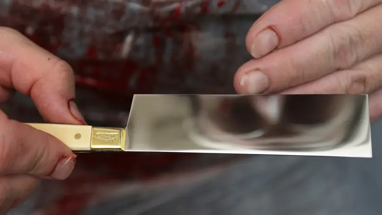 בג”ץ הורה לרבנות לשקול מחדש את הגבלת גיל השוחטים ל-80