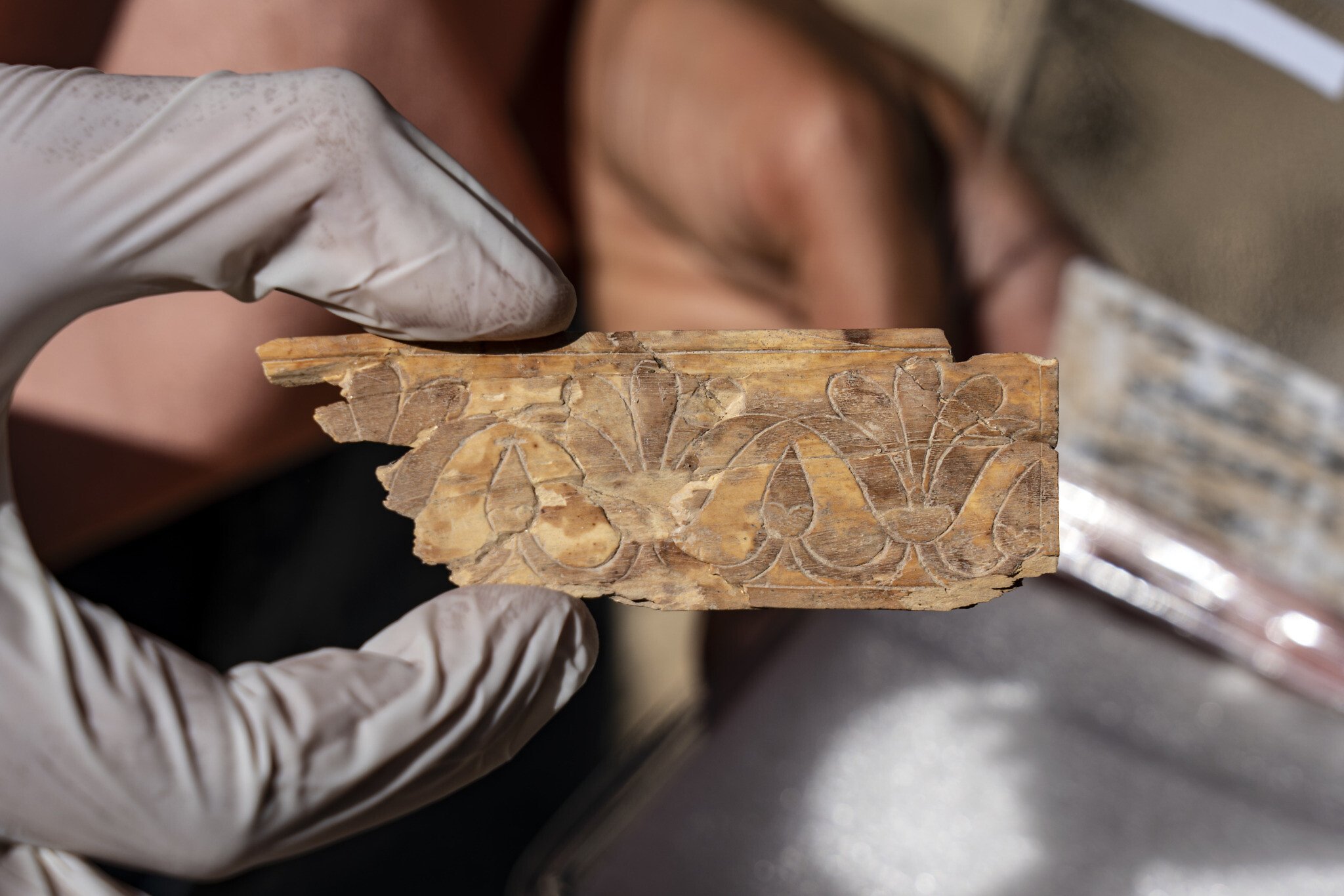 ‘A millennium-long monopoly’: How biblical Israel imported a steady flow of African ivory