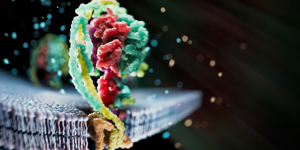 Mass spec method captures proteins in native membranes