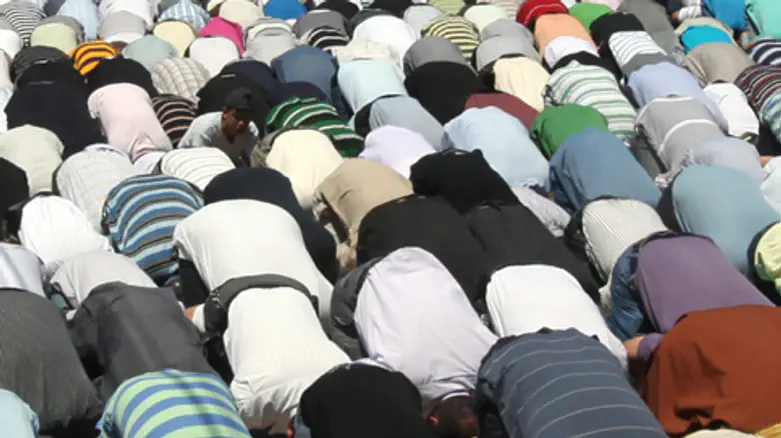 Who’s afraid of the Big Bad Mamdani Wolf? Not me!