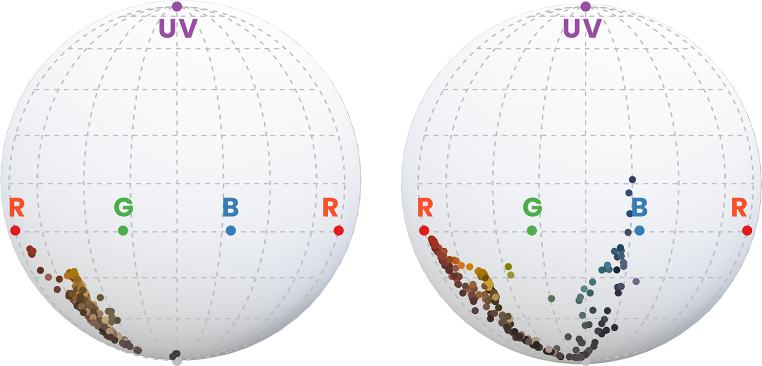 Evidence for the evolution of male and female cardinals’ plumage colouration being affected by both natural and sexual selection | BMC Ecology and Evolution