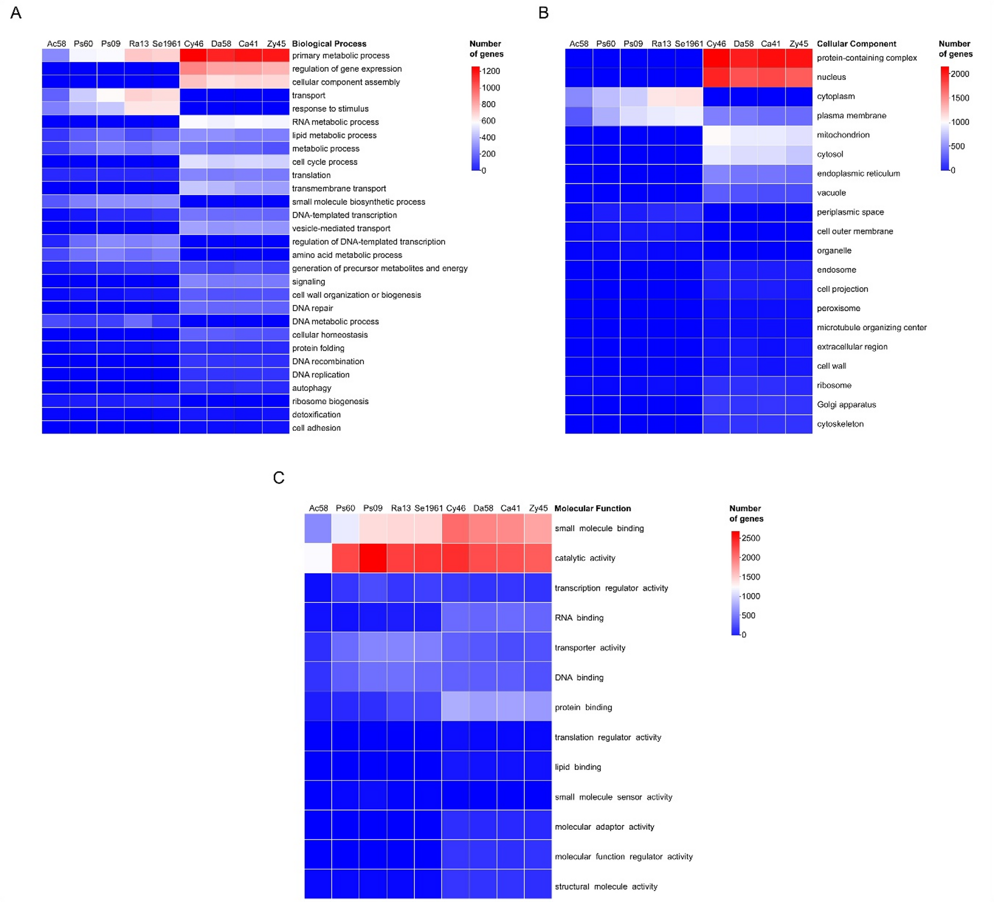 Comparative genomics of dominant members of the gut core microbiome of the bark beetle, Dendroctonus rhizophagus (Curculionidae: Scolytinae) reveals potential functional complementarity in the detoxification process | BMC Genomics