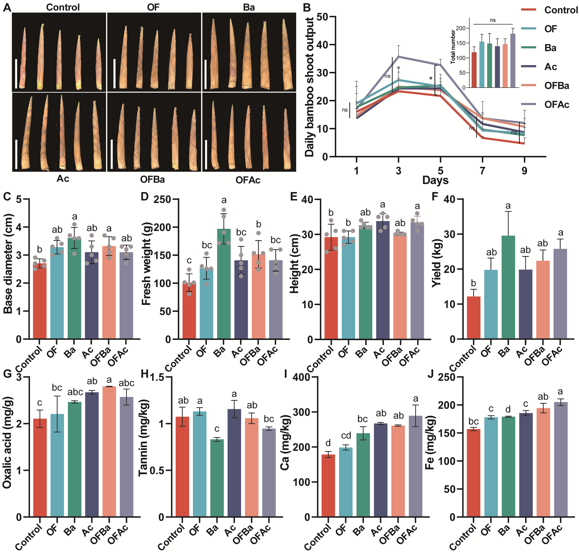 Mechanistic insights into yield enhancement of Chimonobambusa opienensis bamboo shoots driven by organic fertilizer combined with Azotobacter Chroococcum via soil nutrient-microbe-metabolite interactions | BMC Plant Biology