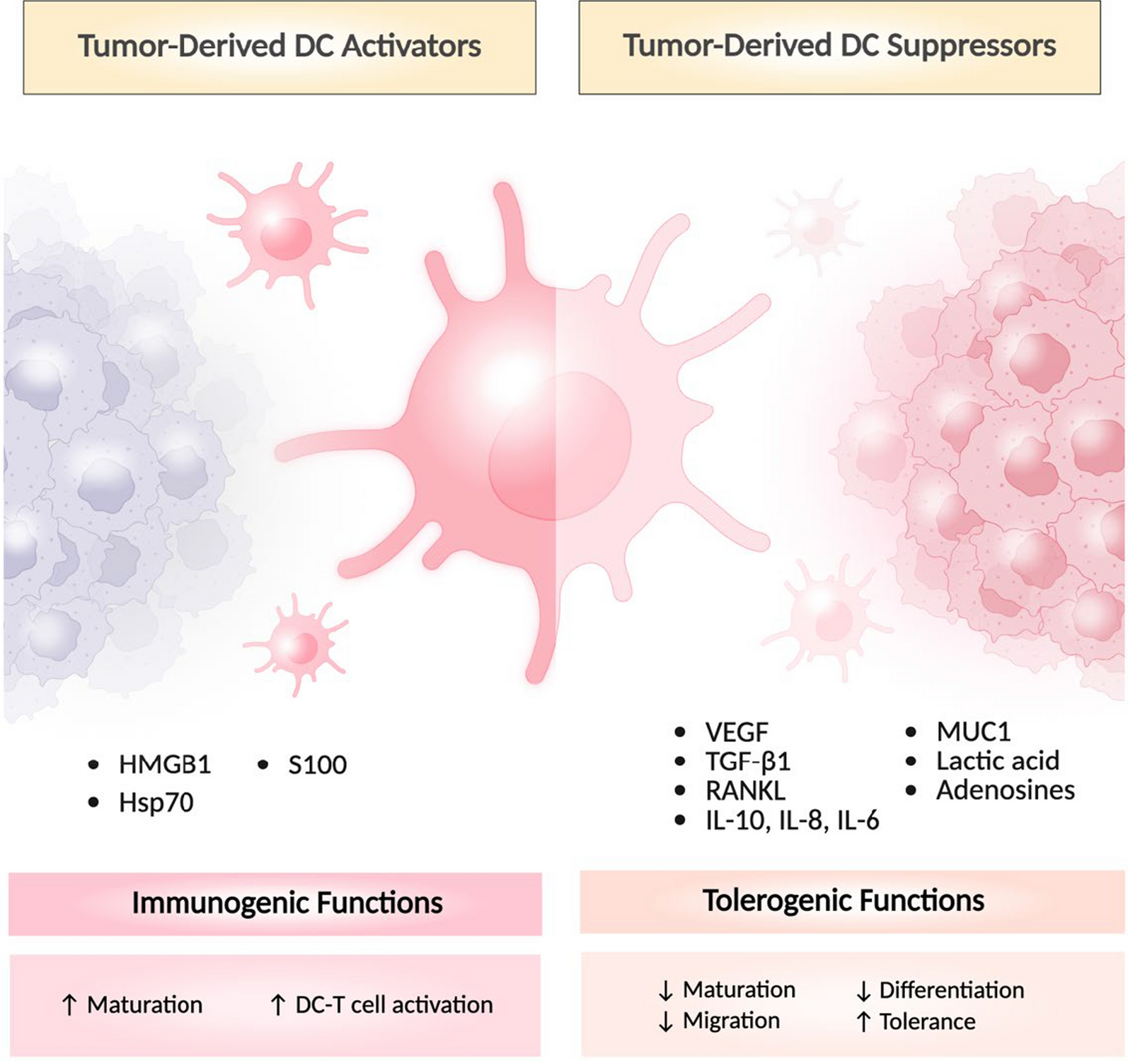 Innovative gene engineering and drug delivery systems for dendritic cells in cancer immunotherapy | Journal of Biomedical Science