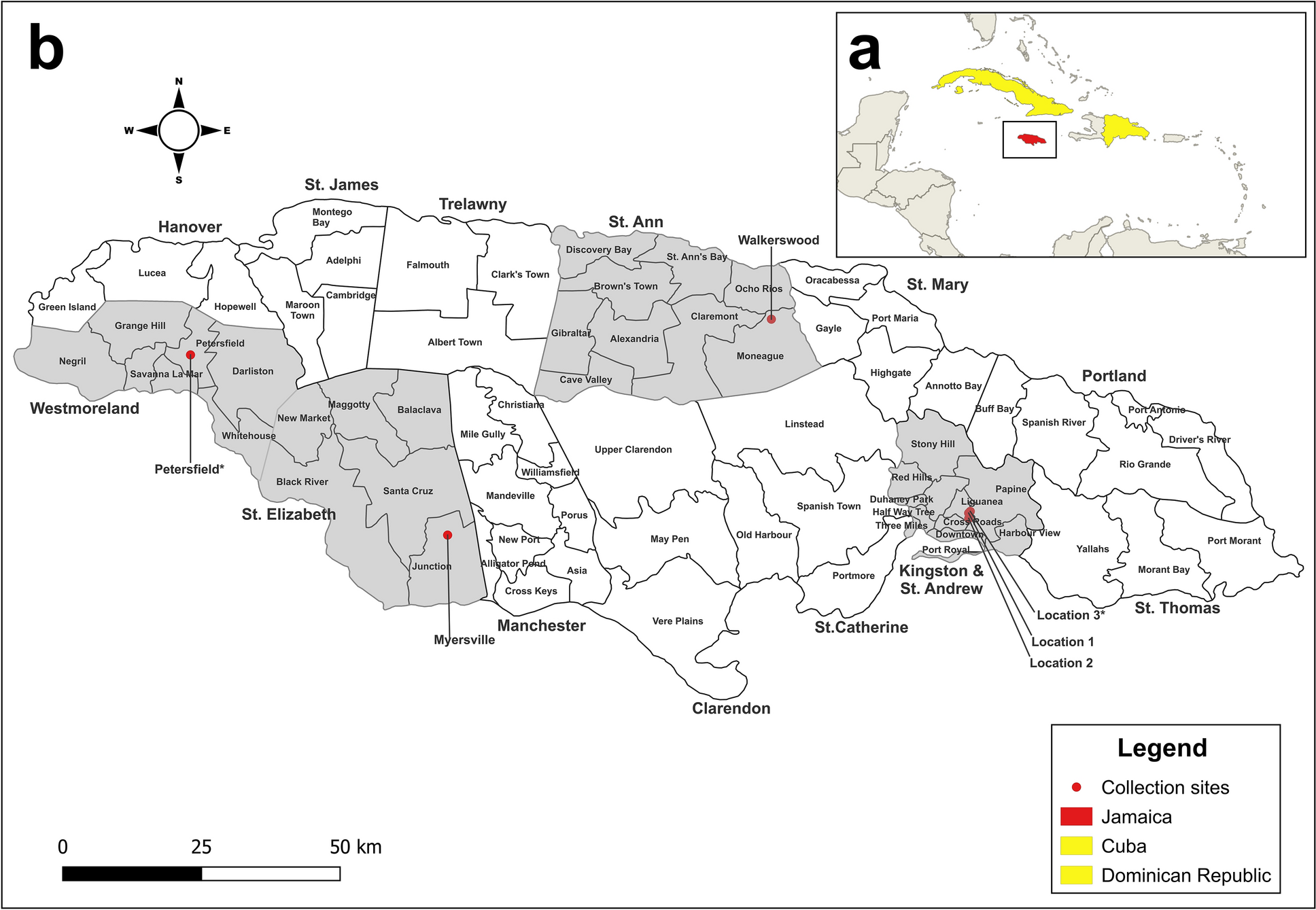 Detection of invasive Aedes vittatus mosquitoes in Jamaica: molecular identification and surveillance implications | Parasites & Vectors