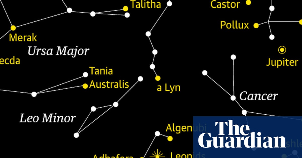 Starwatch: the Leonids meteor shower reaches its peak | Astronomy