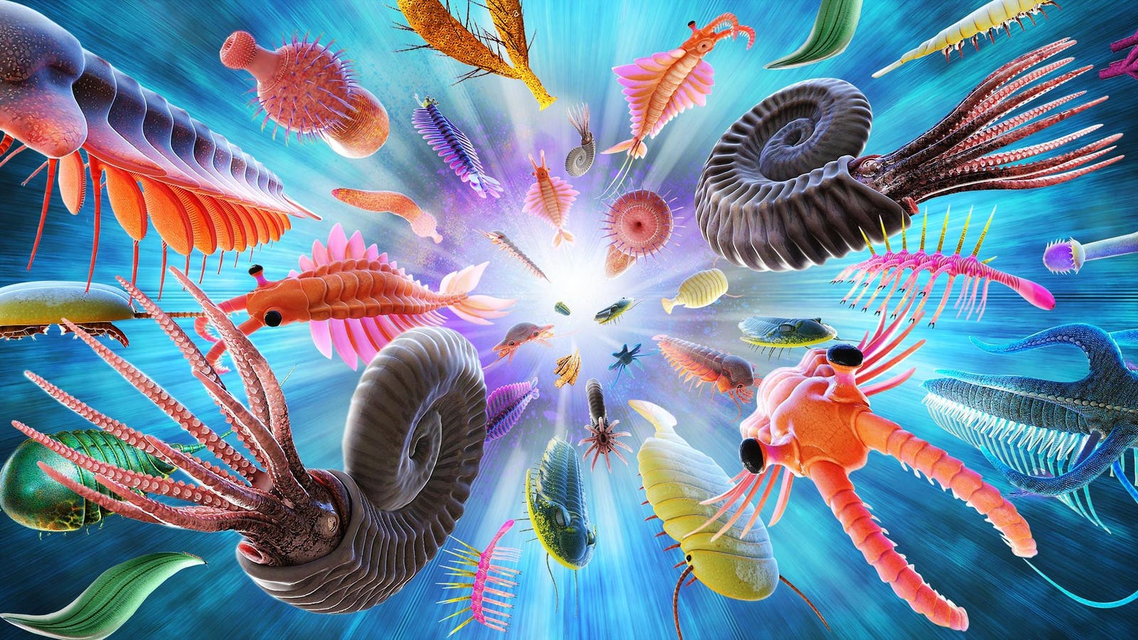 Earth’s Eccentric Orbit Likely Spurred Evolution’s Cambrian Explosion Earth’s Eccentric Orbit Likely Spurred Evolution’s Cambrian Explosion