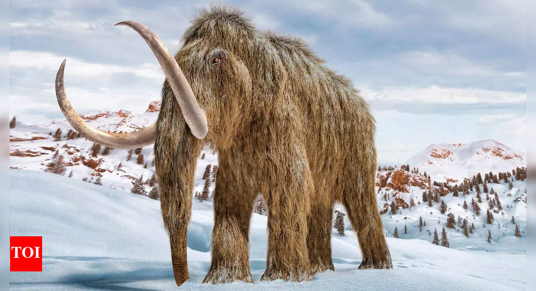 How 39,000-year-old ancient RNA from a mammoth found in Siberia reveals its biology |