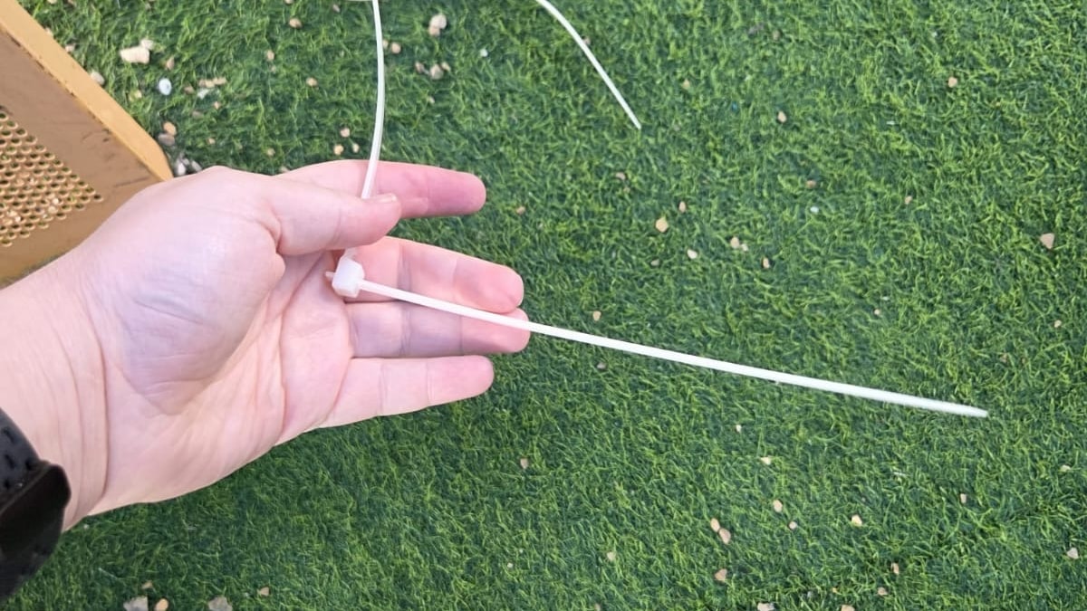 ילדים נמצאו עם אזיקונים סגורים סביב צוואריהם בחיידר החרדי ילדים נמצאו עם אזיקונים סגורים סביב צוואריהם בחיידר החרדי