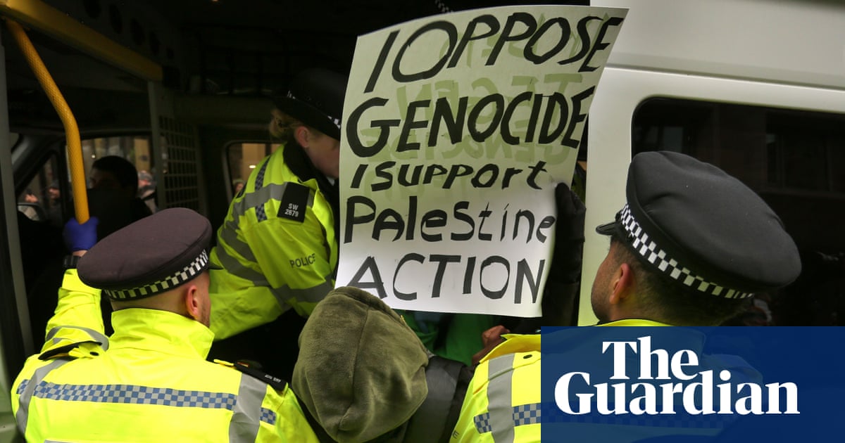 Palestine Action ban could lead to people being wrongly criminalised, Home Office official says | Palestine Action