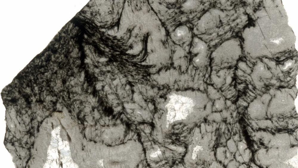 AI Finds Chemical Traces Of Life In 3.3-Billion-Year-Old Rocks AI Finds Chemical Traces Of Life In 3.3-Billion-Year-Old Rocks