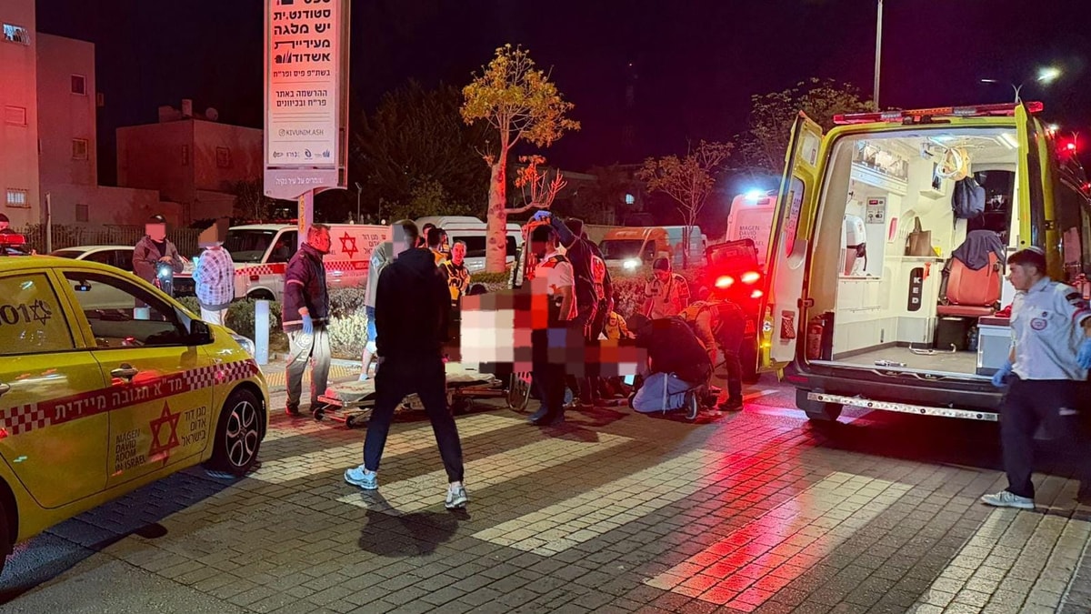 תאונות דרכים בהולכי רגל: מידע חיוני למניעה ובטיחות